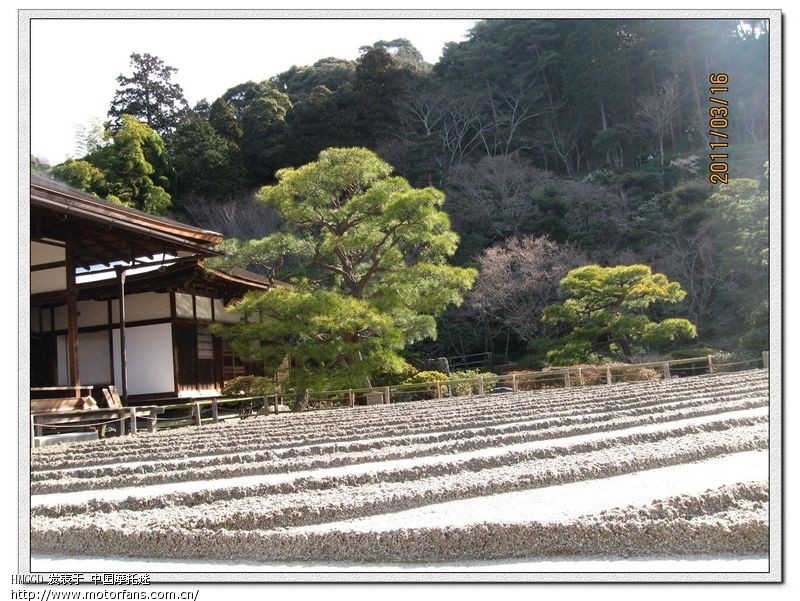 日本地震之后的京都.奈良(逃难之旅) - 摄影论坛