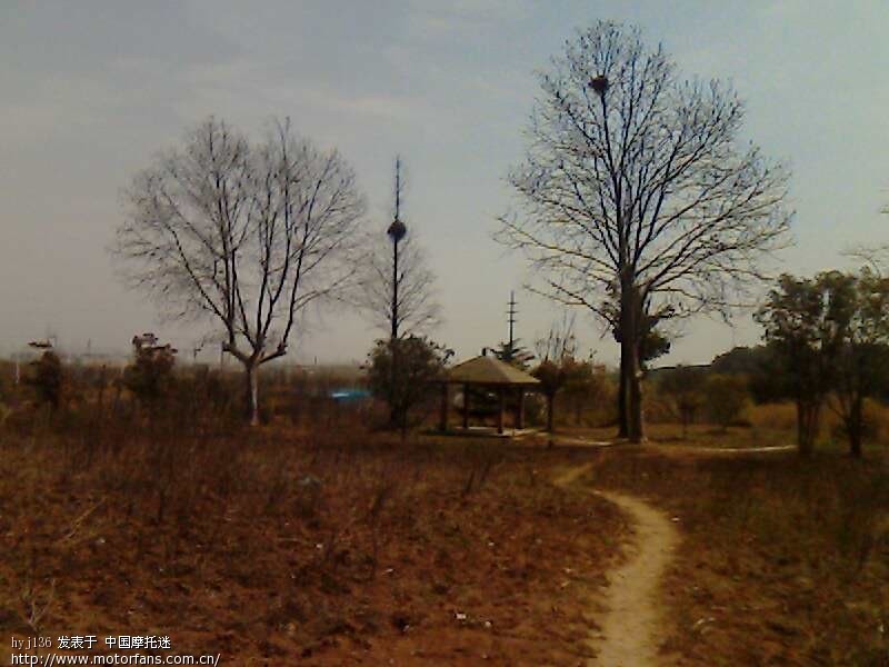 金城125T-19行车报告,(2010-10-16)入手 - 踏板