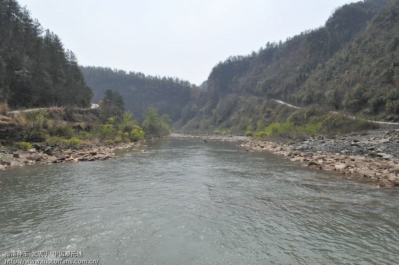 今天驱车100多公里看鸳鸯! - 上海摩友交流区