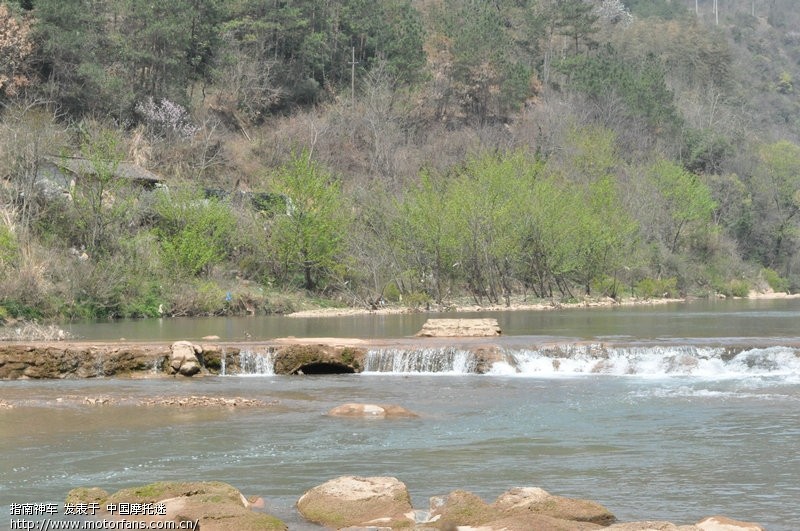 今天驱车100多公里看鸳鸯! - 上海摩友交流区