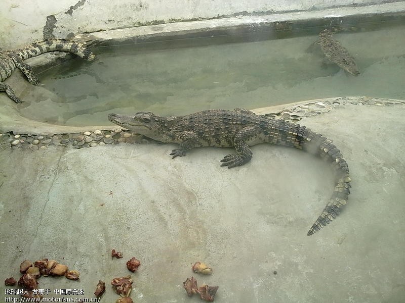 4月5日清明节,天气晴朗,小跑江苏常州淹城野生