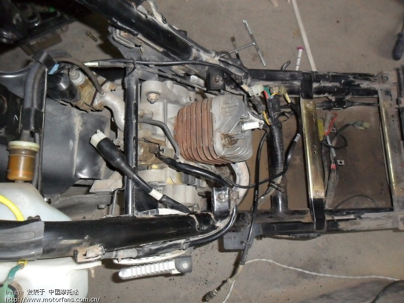 是大路易90?是LEAD90?是大林90T?是天虹90