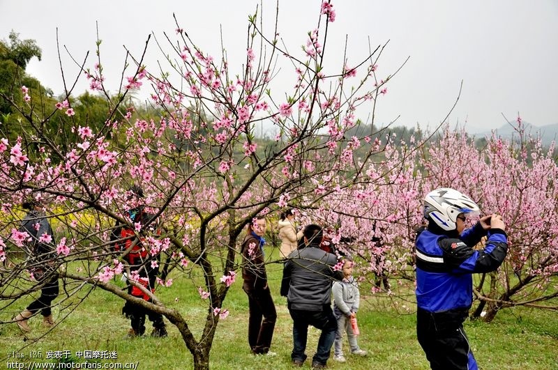 石首市桃花山大图