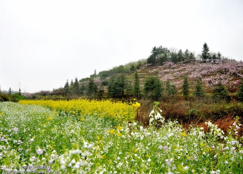 相约石首桃花山 - 湖南摩友交流区 - 湘北岳阳摩