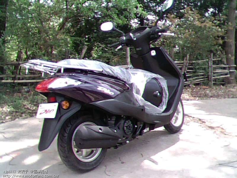 新入手的新大洲本田DIO - 踏板论坛 - 新大洲本