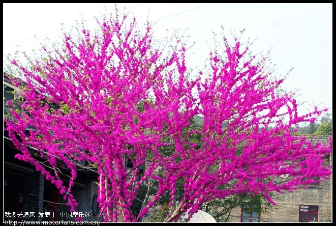 探寻大山深处的三线企业遗址 - 湖南摩友交流