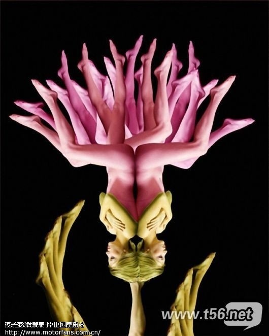 IPAD的声控脑残游戏 和摩托车无关. - 摩托迷水