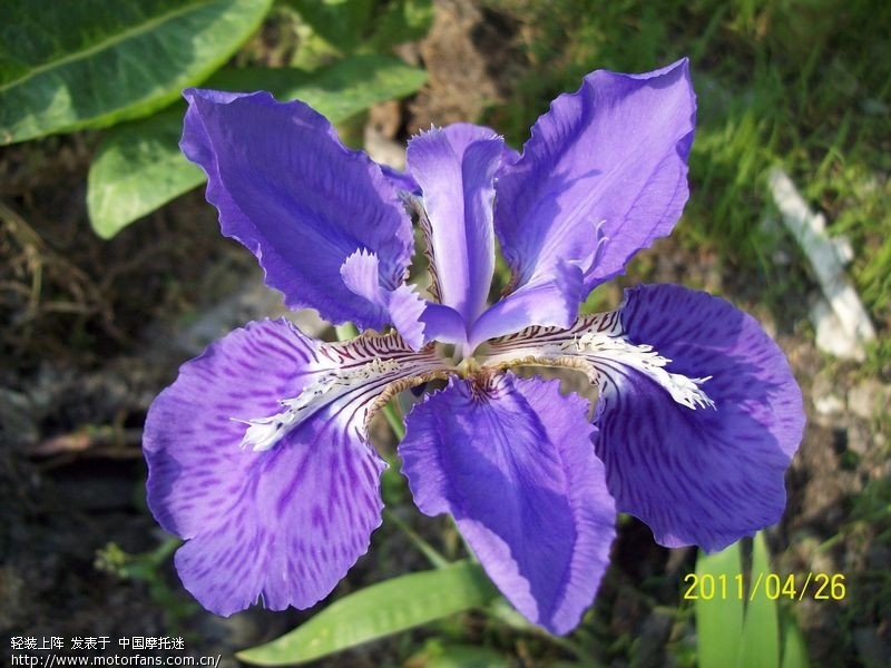 转悠了两天,回来交差啦! - 湖南摩友交流区 - 摩