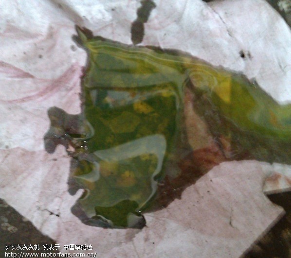 请教坛里的机油达人,摩特300V机油的颜色是这