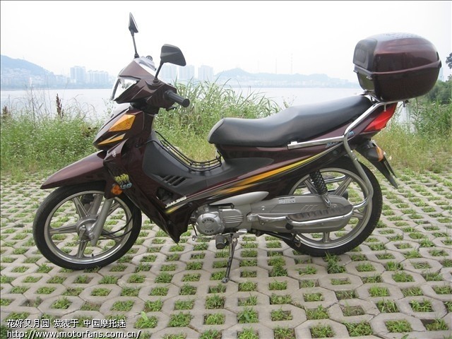 嘉陵的好帅110弯梁车最近很火! - 弯梁世界 - 摩