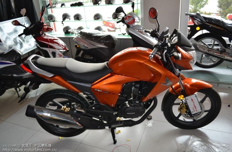 新入橙色战神 上图片 - 新大洲本田 - 摩托车论坛