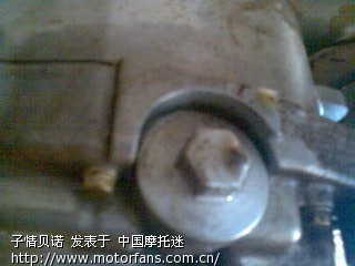 劲丽底部的机油滤网螺丝漏机油了 - 踏板论坛 