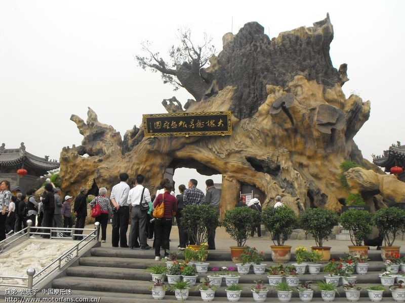 洪洞大槐树迁民再现当年远离故土的场景 - 河南