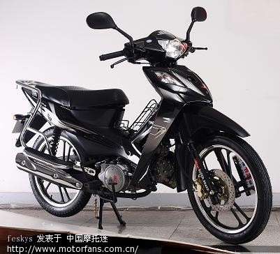 银钢弯梁灵狐如何?各位老师给点意见 - 其他国