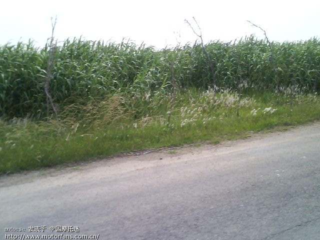 滨海港月亮湾度假村之行 - 色魔驴行 - 摩托车论