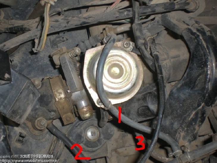 摩托车论坛+-+踏板论坛