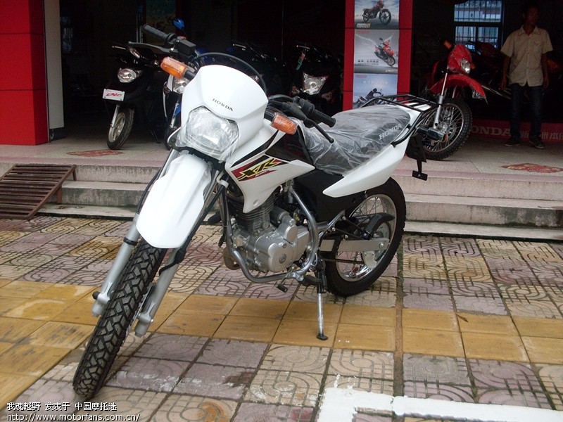 【求精】新大洲本田xr125越野摩托车!《已更新》_汽车图片 【求精】新大洲本田xr125越野摩托车!《已更新》