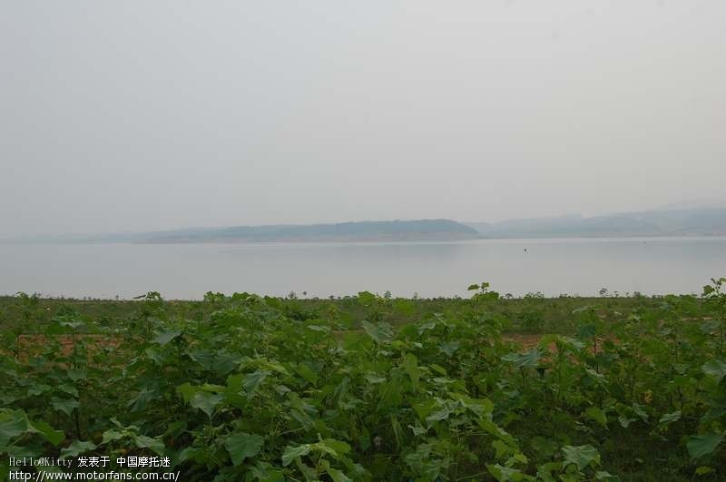 金牌银牌会员赞口不绝的美景,谁不看后悔一辈