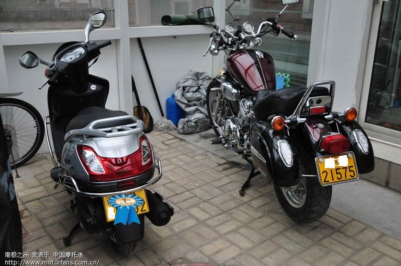 在新锋彩和天龙星之间犹豫不决! - 踏板论坛 - 铃