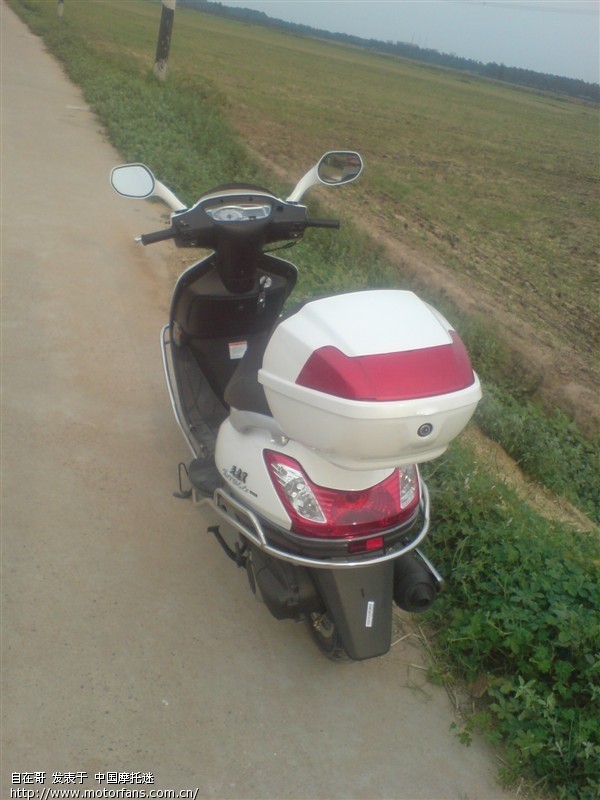 新上 豪爵天龙星 报道 - 踏板论坛 - 铃木踏板摩