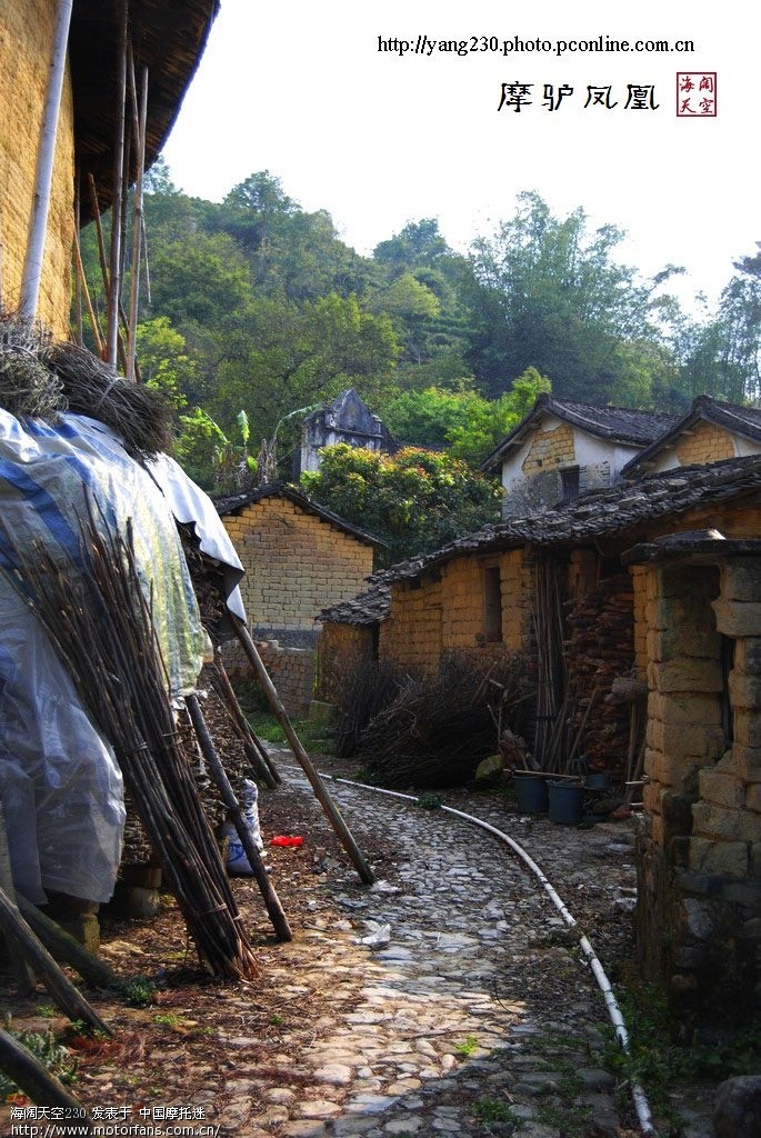 揭阳驴友潮州凤凰山天池寻找传说中的四脚鱼(
