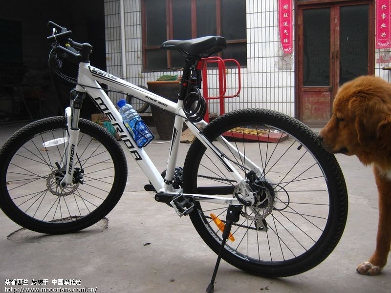 想入手2000左右自行车,请问有什么好建议? - 自