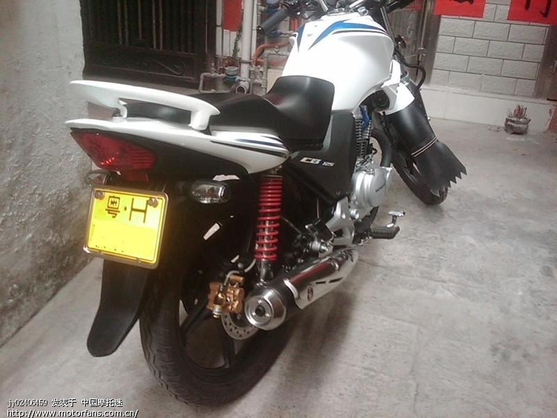 各颜色小战鹰 - 新大洲本田 - 摩托车论坛 - 中国