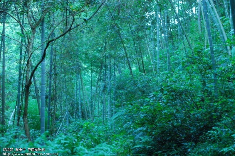 赣州悠游摩友会重型机车跑小长途(第2页更新图