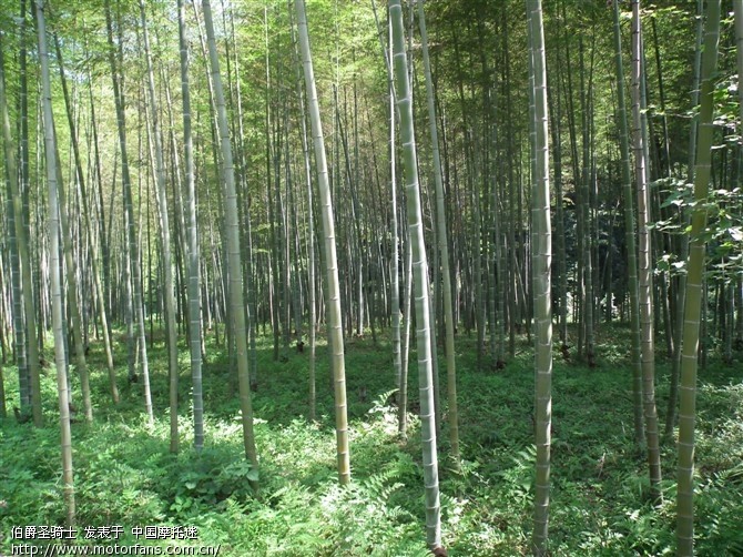 湘西境内经典线路两日游(适合上班族的短途摩