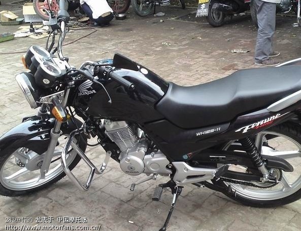 新锋翼普通版和GP版质量有什么差别吗? - 五羊