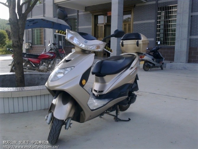 爱江山更爱迅鹰、、、(晒晒我的金鹰) - 踏板论