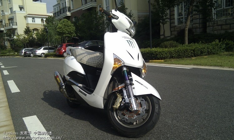 乌龟和甲鱼 - 踏板论坛 - 摩托车论坛 - 中国第一