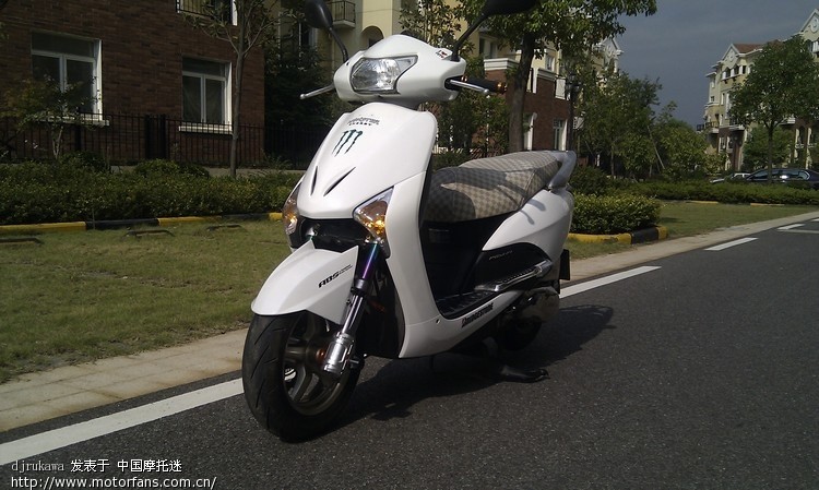 乌龟和甲鱼 - 踏板论坛 - 摩托车论坛 - 中国第一