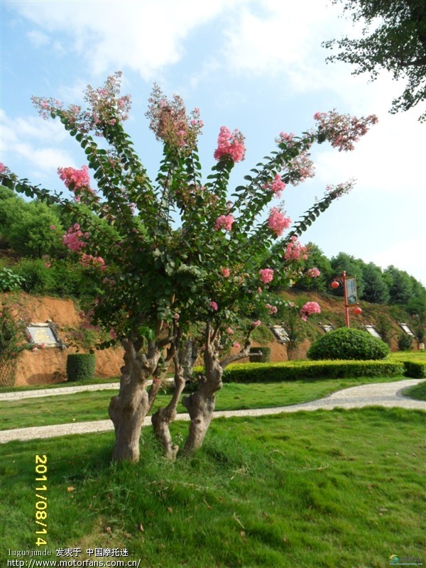 邵阳紫薇公园 - QQ群专区 - 摩托车论坛 - 中国第