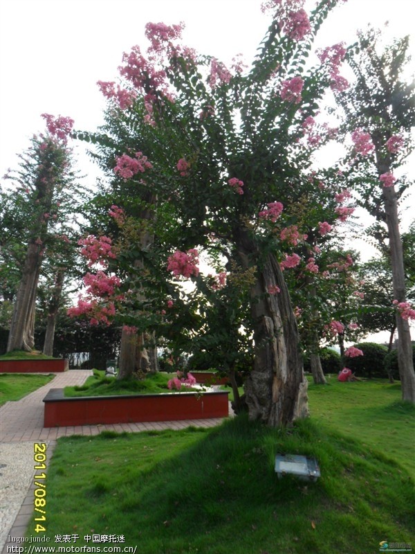邵阳紫薇公园 - QQ群专区 - 摩托车论坛 - 中国第