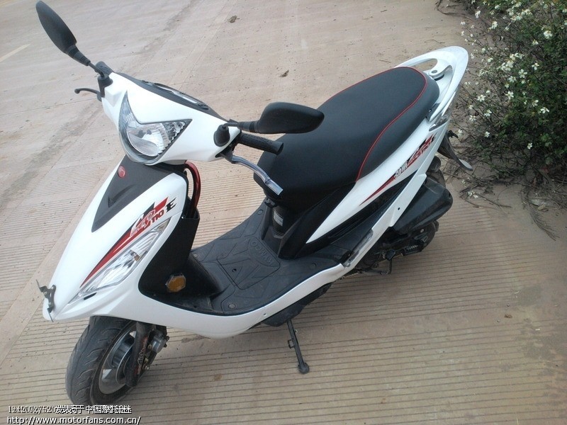 jog VS光阳劲丽110 - 踏板论坛 - 雅马哈踏板摩