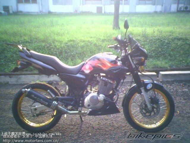 最近淘来的改装宝贝。中置减震 后碟刹 看着就