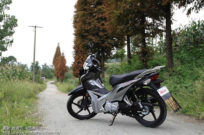 飘悦110 - 弯梁世界 - 新大洲本田弯梁专区 - 摩