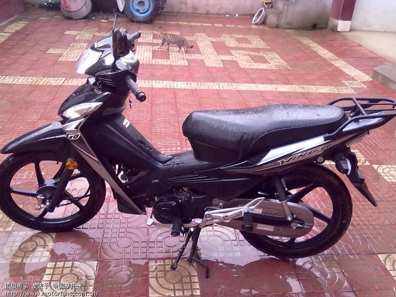 我的新锋驰 - 五羊本田 - 摩托车论坛 - 中国第一