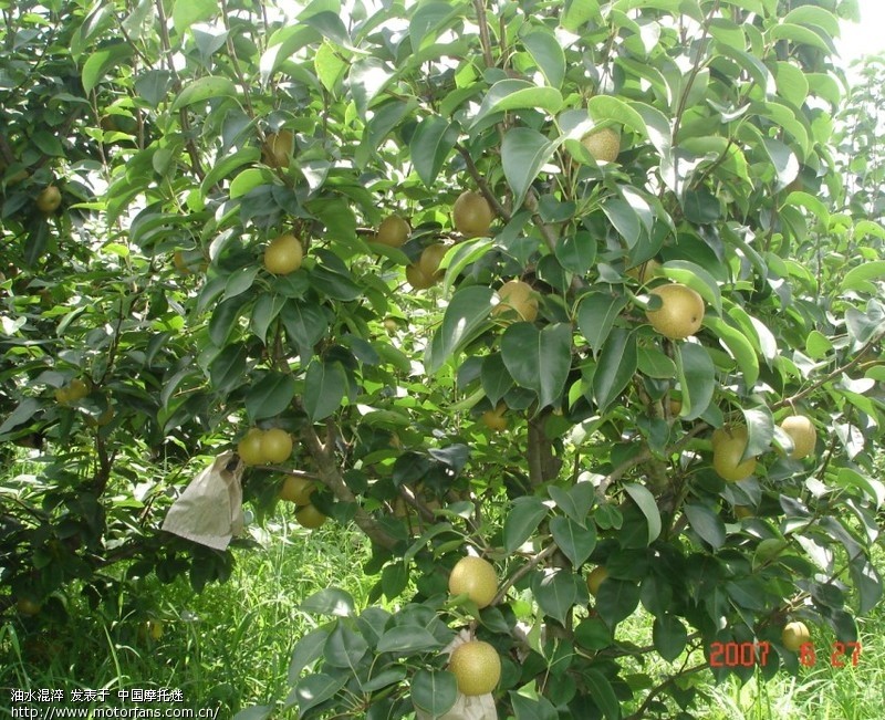 江西车友通讯录(拒绝灌水) - 江西摩友交流区 -