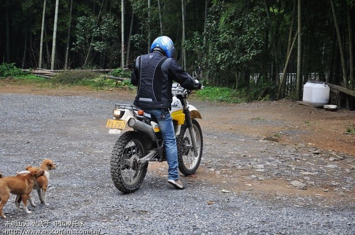 周末越野跑东明山 - 浙江摩友交流区 - 摩托车论