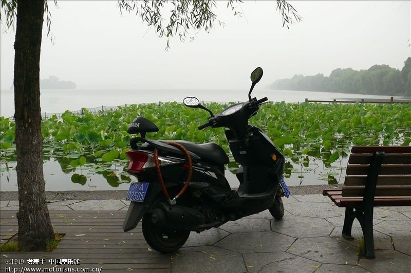 1万以下的踏板车,有什么好推荐的吗?要求如下