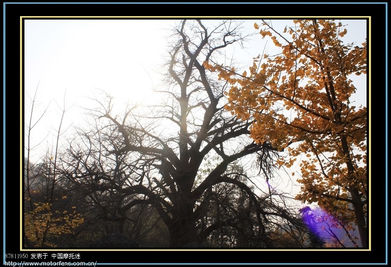 武汉五本精英车队钱冲、洛阳两日游,附大量PP