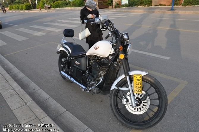 重金之下出勇夫,谁要是给我找到我的大地鹰王