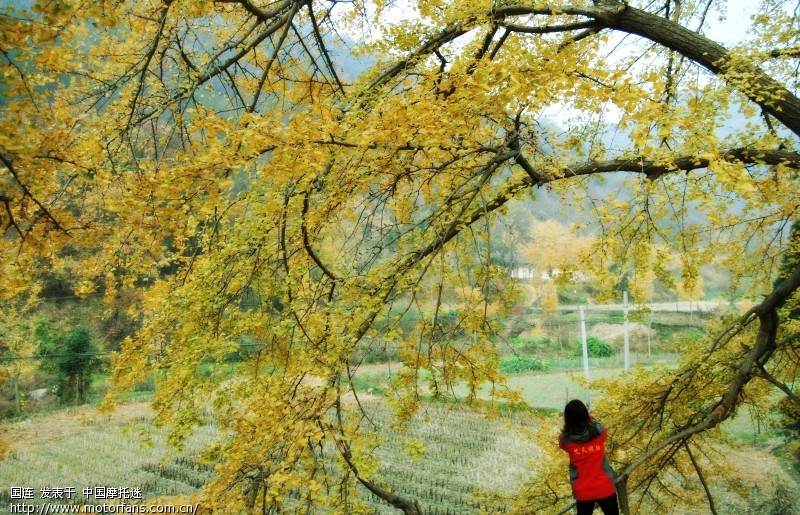 武汉五本精英车队钱冲、洛阳两日游,附大量PP