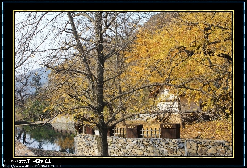 武汉五本精英车队钱冲、洛阳两日游,附大量PP