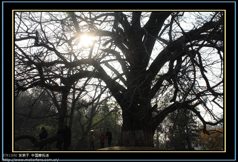 武汉五本精英车队钱冲、洛阳两日游,附大量PP