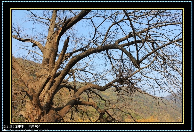武汉五本精英车队钱冲、洛阳两日游,附大量PP