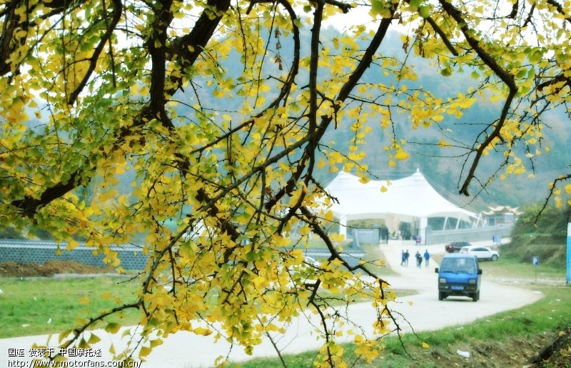 武汉五本精英车队钱冲、洛阳两日游,附大量PP