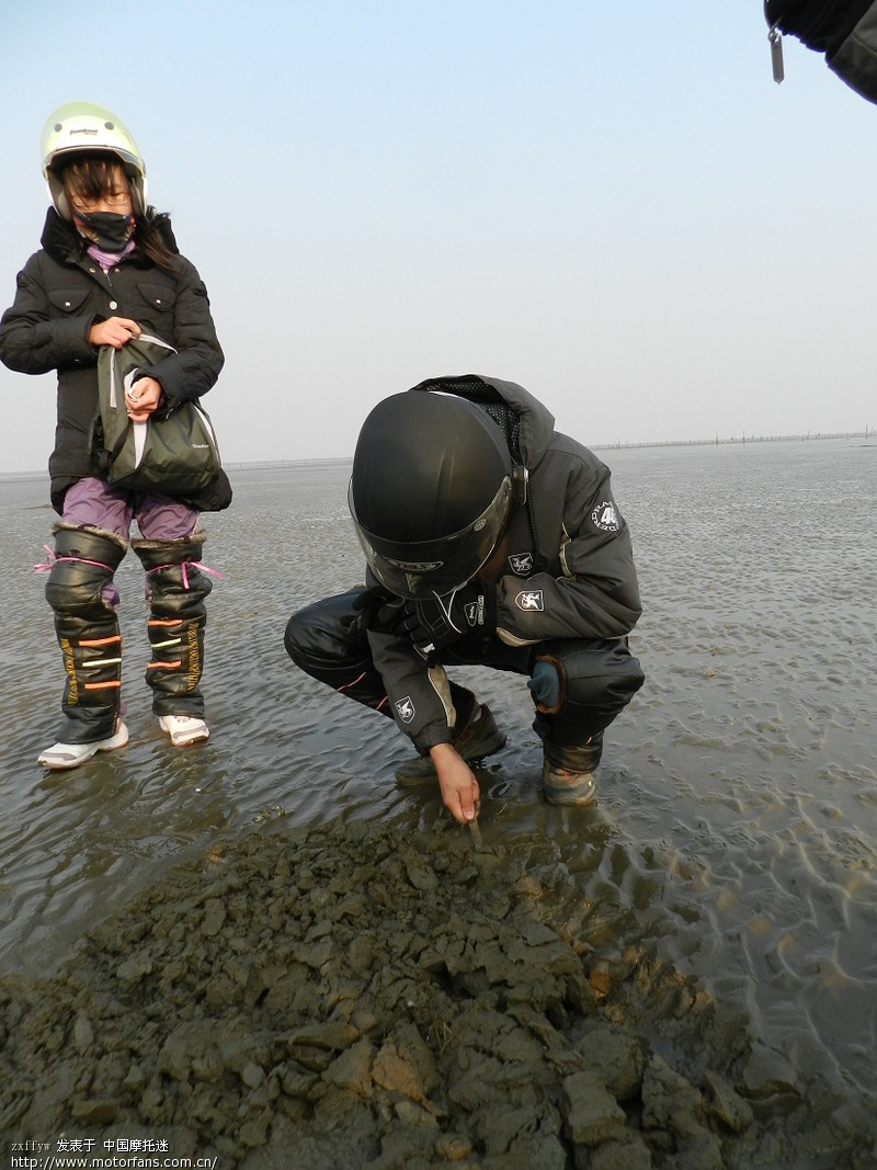 去如东哪里吃海鲜_如东营业执照_李总理夫人程虹哪里人